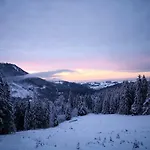 Erlebnis * Jungholz