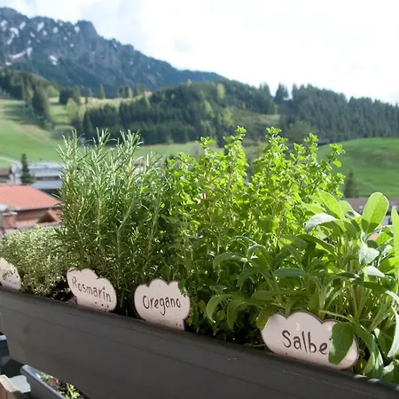 Apartamento Erlebnis *