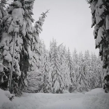 Apartment Erlebnis Jungholz