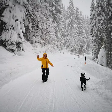 Erlebnis Apartment Jungholz