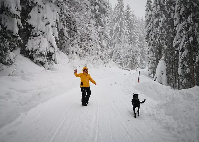 Erlebnis Διαμέρισμα Γιούνγκχολτς