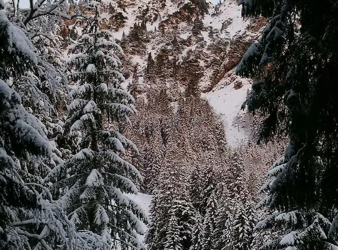 Apartment Erlebnis Jungholz