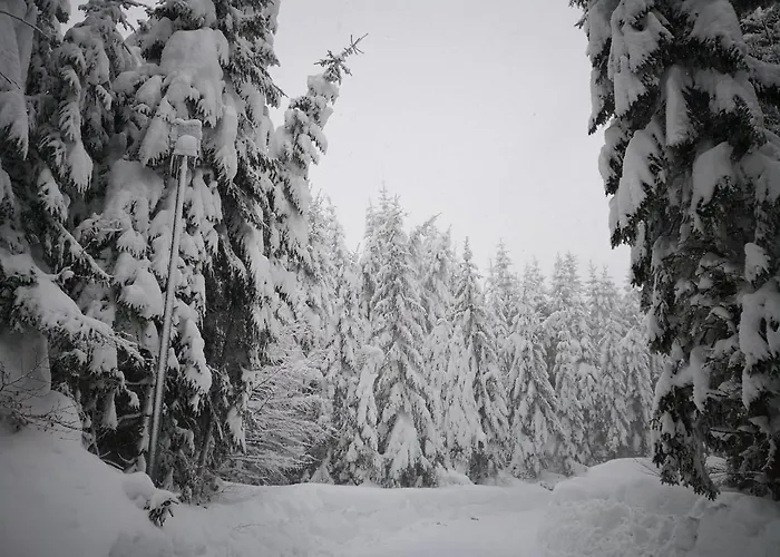 Apartment Erlebnis Jungholz